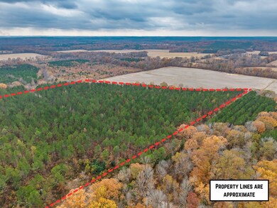 85  ac County Road 291, Water Valley, MS 38915 - photo 5