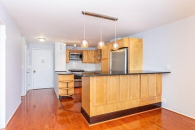 Tremont on the Common unit 20B, Boston, MA 02111 - photo 2