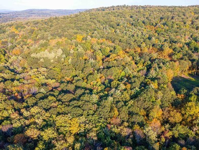 0 Pitts Rd unit 20232833, Chatham, NY 12136 - photo 5