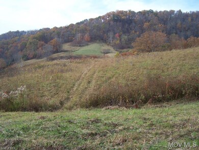 NIce open land