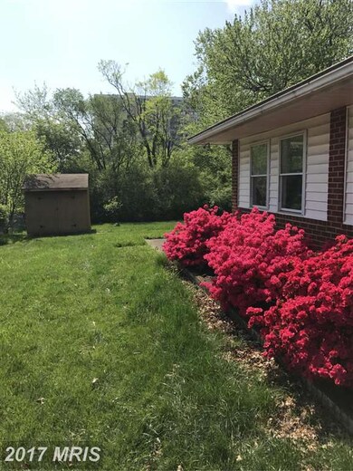 4705 Barnum Ln, Alexandria, VA 22312 - photo 7