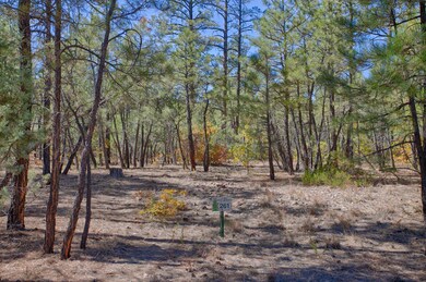 1840 S Bristlecone Dr, Show Low, AZ 85901 - photo 6
