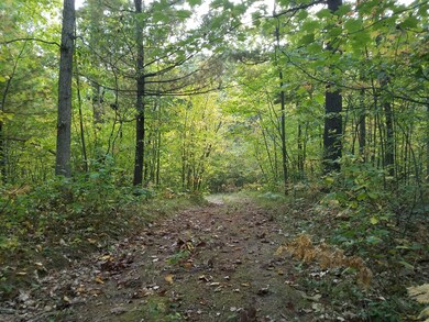 0 N V L Evergreen Dr unit 17049135, White Cloud, MI 49349 - photo 3