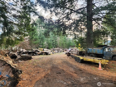 125 Edmonds Rd, Packwood, WA 98361 - photo 5