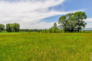 Mitchell Dry Ridge Ranch 2-3