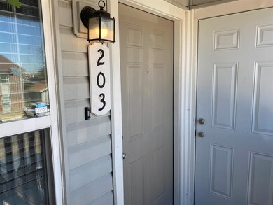 327 SE 3rd St unit 203, Grand Prairie, TX 75051 - photo 2