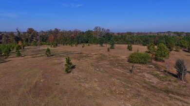 84 McCallister Rd, Slocomb, AL 36375 - photo 7