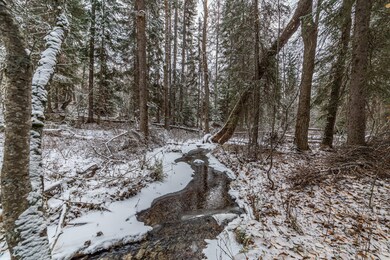 257 Pine Valley Loop