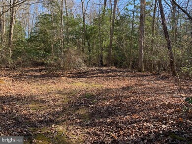 0 Willow Grove Rd unit NJGL2027114, Monroeville, NJ 08343 - photo 3