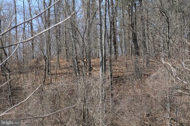 0 Slate Mills Rd unit VARP106142, Sperryville, VA 22740 - photo 4