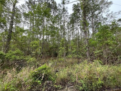 0 Kola Rd unit O6015271, New Smyrna Beach, FL 32168 - photo 2