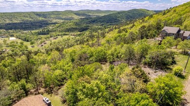 000 Mt Riante Rd, Hot Springs, AR 71913 - photo 4