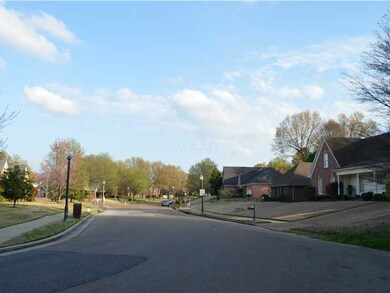 The view of the street as you approach the home.