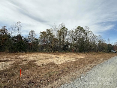 Lot # 2 W Legacy Dr unit 2, Hendersonville, NC 28739 - photo 4