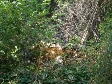 29968 Dixie Creek Rd, Prairie City, OR 97869 - photo 3