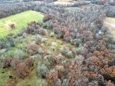 00 Pyrite Dr, Bible Grove, IL 62858 - photo 3