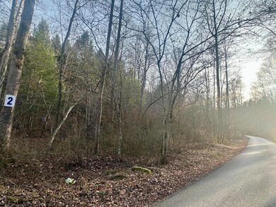 Lot 2 Radford Rd, East Bernstadt, KY 40729 - photo 6