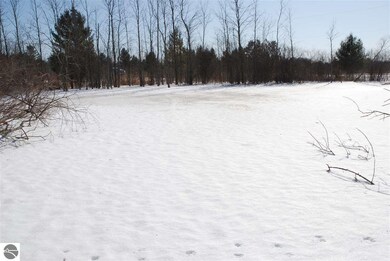 0 Alabaster Rd, Tawas City, MI 48763 - photo 7