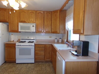 779 N Emroy Ave, Elmhurst, IL 60126 - photo 3