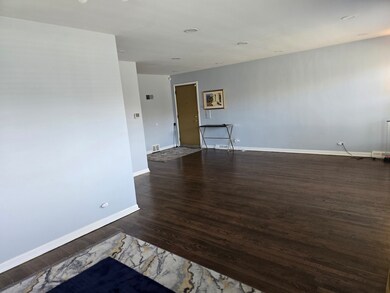 8955 S Cornell Ave, Chicago, IL 60617 - photo 5