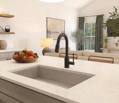 Stainless steel undermount sink with matte black faucet
