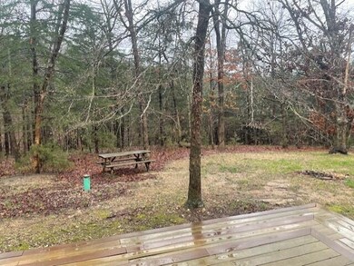 473 Canyon Forest Cir, Kimberling City, MO 65686 - photo 4