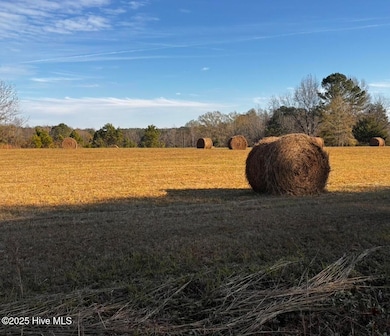 001tbd N Carolina 58, Nashville, NC 27856 - photo 3