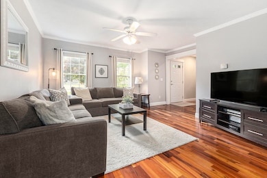 ENTRY AND LIVING ROOM