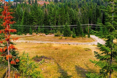 26561 Leclerc Rd N, Ione, WA 99139 - photo 3