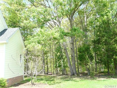 Trees in the back yard, close enough for exploring