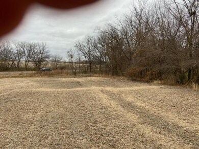 North boundary wooded area at the 169 Highway west