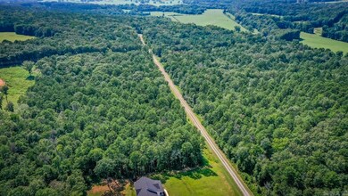 000 Mazanec Lane - Tract 12, Clinton, AR 72031 - photo 7