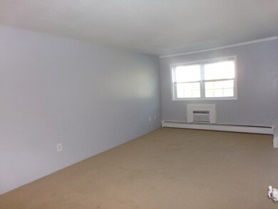 381 Hildreth St unit 208, Lowell, MA 01850 - photo 3