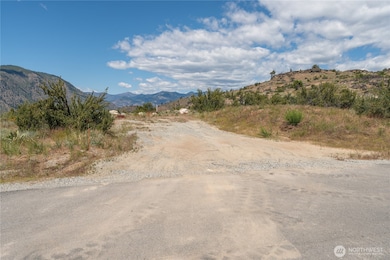 0 Glory View Ln unit Lot 4 NWM2388419, Manson, WA 98831 - photo 7