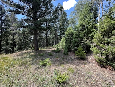 0 Tbd Calkins unit REC5883648, Jasper, CO 81146 - photo 7