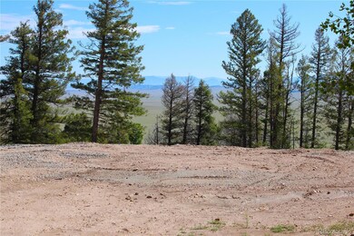 198 Baler Ct unit 891, Hartsel, CO 80449 - photo 4