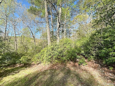 C1 Falling Water Dr, Highlands, NC 28741 - photo 7