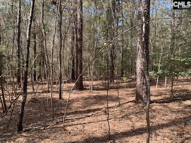 0 Eleazer (Parcel C) Rd unit 621895, Irmo, SC 29063 - photo 6