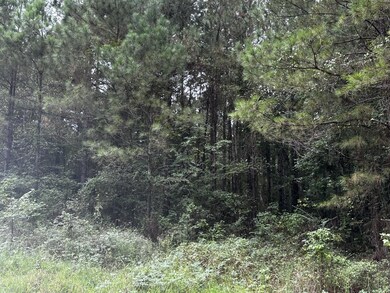 View of local wilderness