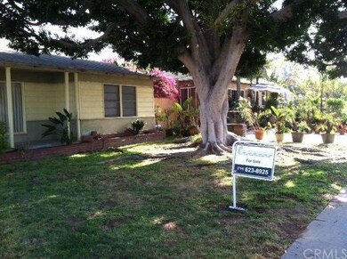 Large, Beautiful Tree provides peaceful, shady fro