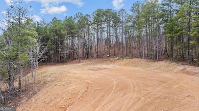 2310 E Hermitage Rd, Kingston, GA 30145 - photo 3