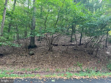 10 Hidden Pond Dr, Reading, PA 19607 - photo 3