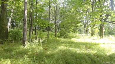 0 Henry Rd unit KEY909778, Cragsmoor, NY 12420 - photo 4