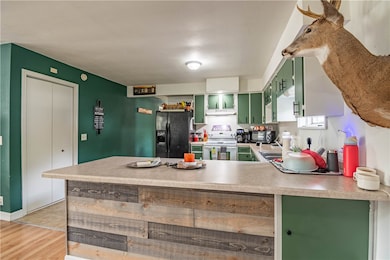 1010 E 3rd St, Pana, IL 62557 - photo 6