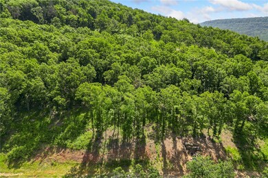 Lot 23 Restore Ridge, Harrison, AR 72601 - photo 6