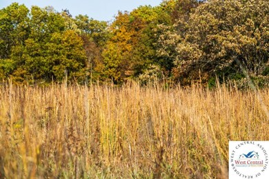 Tract A-1 SE 651st Rd, Knob Noster, MO 65336 - photo 2