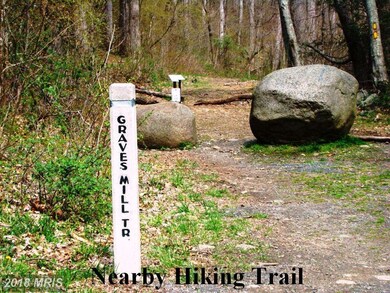 405 Garth Run Rd, Madison, VA 22727 - photo 6