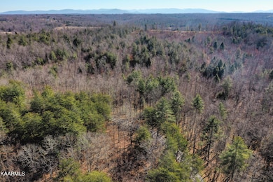 DJI_0369-2