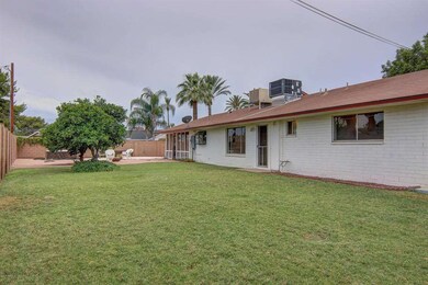102-Backyard_2 - Copy
