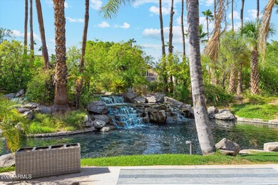 backyard view